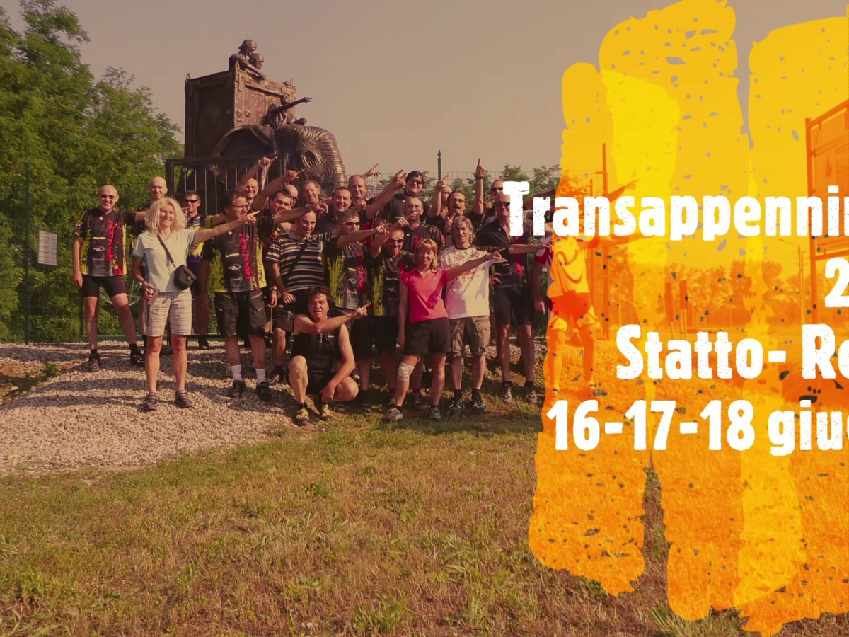 Transappenninica 8 (2012)