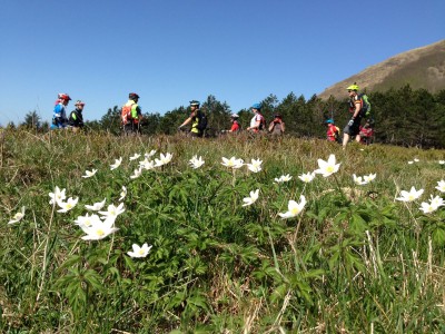 IMMAGINI APRILE 2018