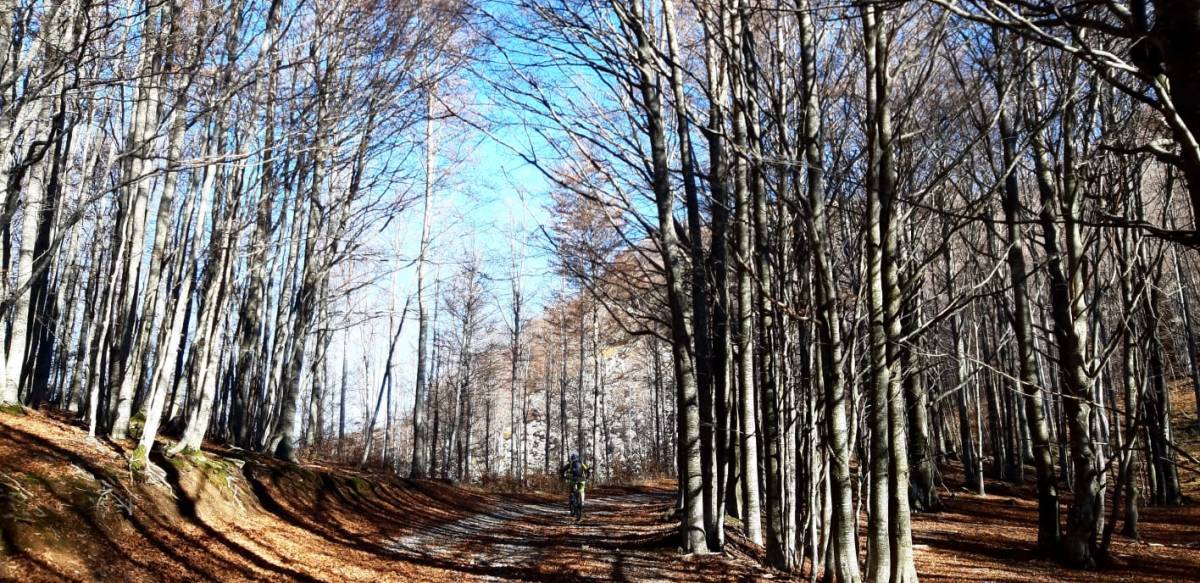 20-11-2021 Giro intorno al Monte&nbsp;Prampa